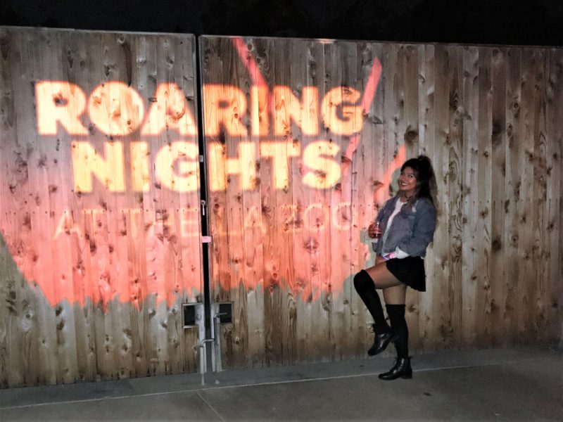 Roaring Nights LA Zoo: 90’s vs 80’s Dance Party