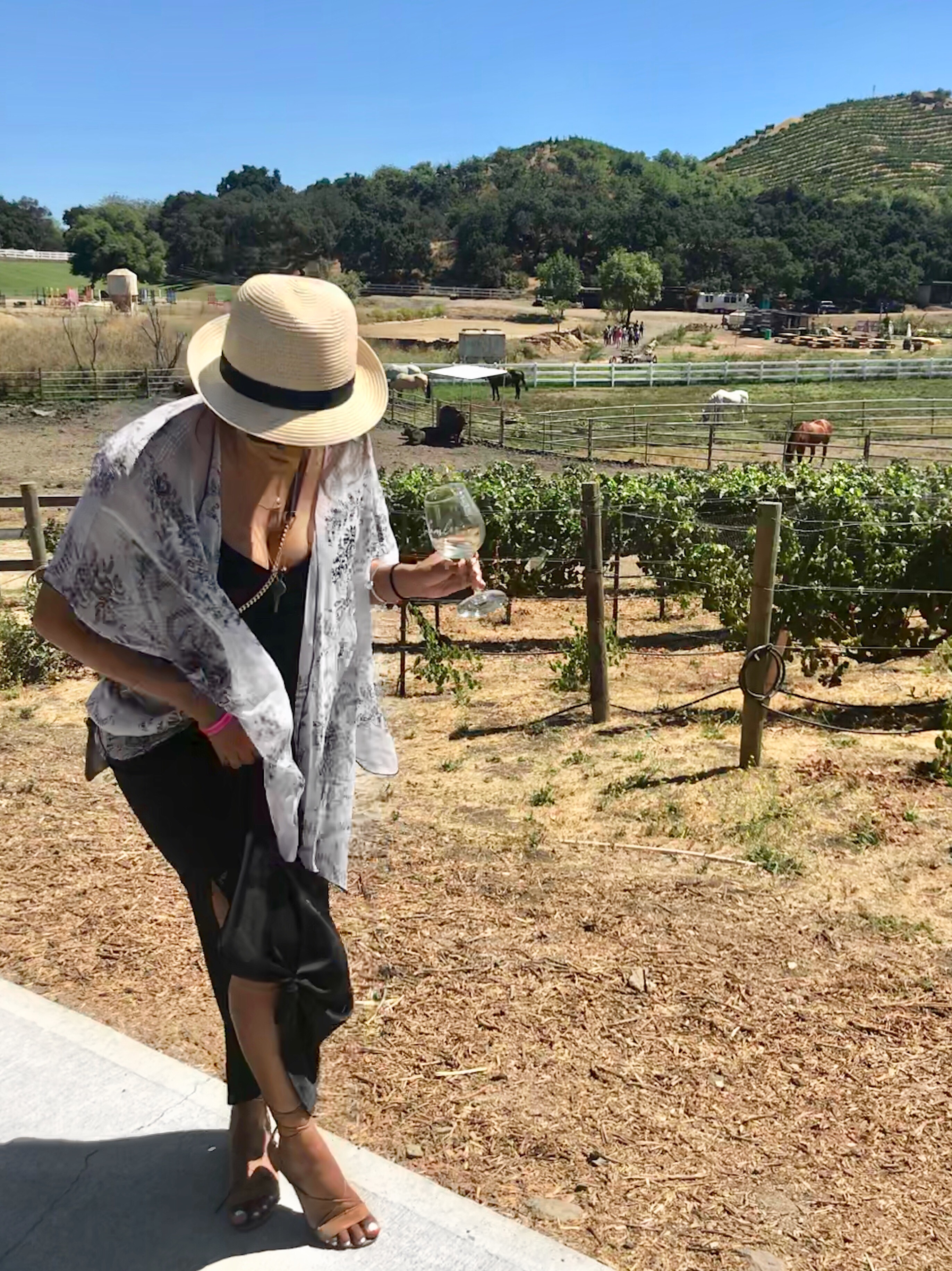 Malibu Wine Safari Experience